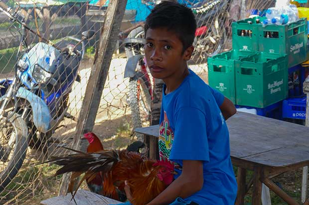 Bantayan Ausflug Junge mit Hahn